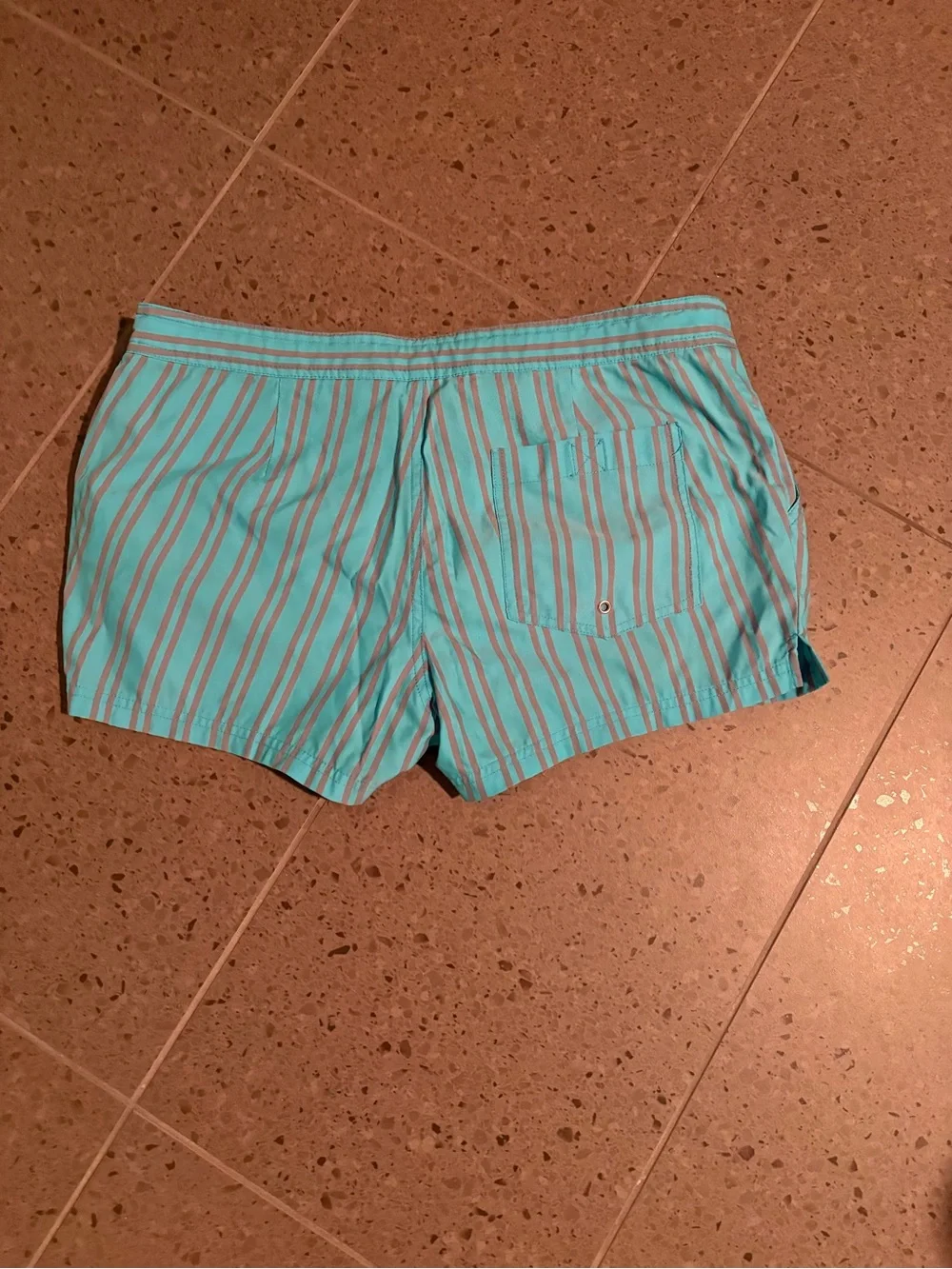 Mr Turk Men’s Aqua Striped Casual Swim Shorts Medium (32)